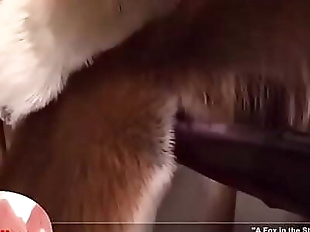 Horse fucks a fox in the ass 10 min